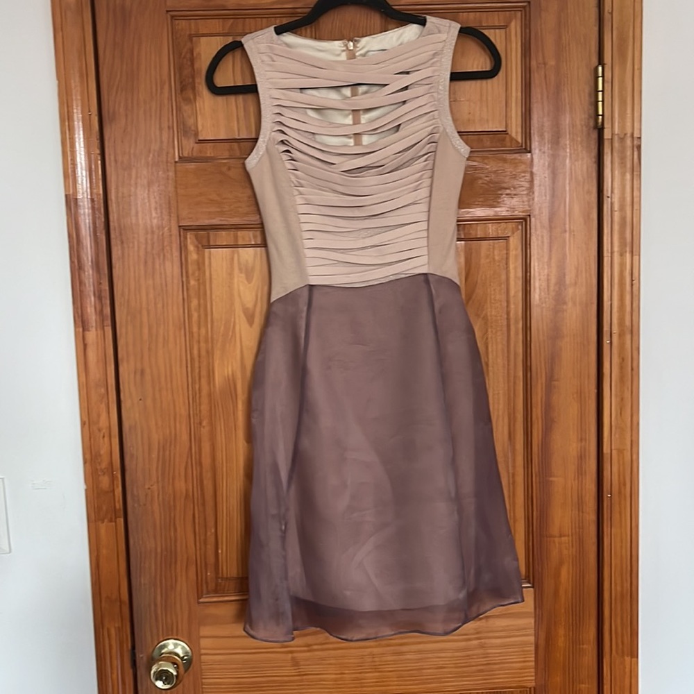 Beautiful Reiss Size 0 Dress